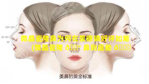 微晶瓷隆鼻为何在景德镇好评如潮(微晶瓷隆 💮 鼻到底能 🐅 不能取出来)